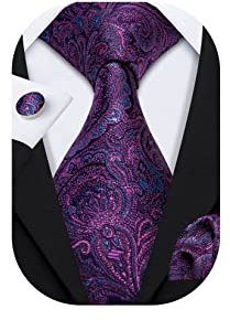 Barry.Wang Purple Paisley Ties for Men Silk Necktie Set Fashion Wedding Business