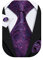 Barry.Wang Purple Paisley Ties for Men Silk Necktie Set Fashion Wedding Business