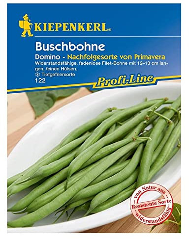 Kiepenkerl 0122 Buschbohne Domino, widerstandsfähige fadenlose Filet-Bohne, Tiefgefriersorte