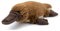WWF Plüsch 01277 - Plüschtier Schnabeltier, lebensecht gestaltetes Kuscheltier, ca. 22 cm groß, wunderbar weich und kuschelig, Handwäsche möglich
