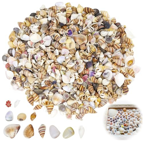Aihoom Approx.1000 PCS Natural Mini Sea Shells Mix, 10+ Varieties Bulk for Crafts, DIY Beach Wedding Decor, Resin Art, Fish Tank, Vase Fillers, Home Ocean Theme Party Decorations