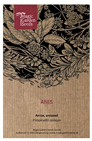 Anis (Pimpinella anisum) - ca. 500 frön