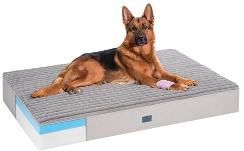 Veehoo Orthopedic Memory Foam Dog Bed, 7 Inch Thick Extra Large XXL Dog Bed for Senior Dogs with Ultra-Soft Fluffy Surface, Waterproof Liner, Removable Washable Cover and Non-Slip Bottom, 52x36x7