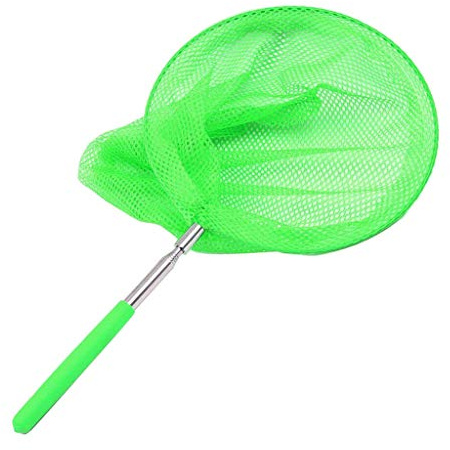 D.A.Y. Republic Butterfly Nets for Kids, Extendable Fishing Net | Kids fishing net extends 14.5-34in, stainless steel, anti-slip handle, for insects, fish, crabs, ponds
