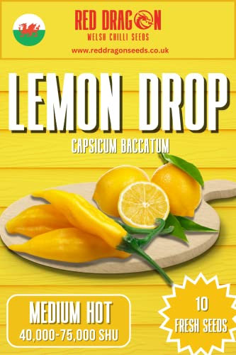 Aji Lemon Drop Chilli Seeds - 10 Fresh Aji Lemon Pepper Seeds