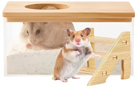 Hamster Sand Bath – PET trä Transparent Container | kapacitet dusch toalettlåda | Hygienmiljö för skötsel av smådjur inomhus | Burrum Balkongdekor För Gerbil Mus Råtta Husdjur