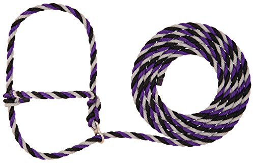Weaver Leather Livestock Stierwalt Breaking Halter, Purple/Black/Gray, 8 1/2'