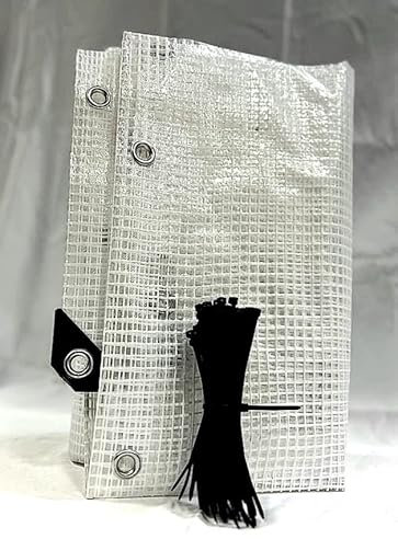 PINTO FERRAMENTA E-COMMERCE Telone Occhiellato Telo Multiuso per Esterno Impermeabile Rinforzato Trasparente Coperture Copri Legna Antipioggia Antistrappo Campeggio 100 FASCETTE OMAGGIO (2.5x3mt)