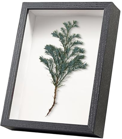 8X6 Picture Frames Shadow Boxes - Wall & Tabletop Black Photo Frame 15x20 CM 3D for Filling with 2 Wall Nails for Medals Flowers (Black432,Depth 3cm)