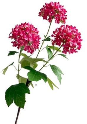 HUFFA Flor Artificial de Hortensia de Madera de Bola de Nieve de la Suerte de un Solo Tallo y 3 bifurcaciones for decoración de Bodas y hogares(Rose Red)