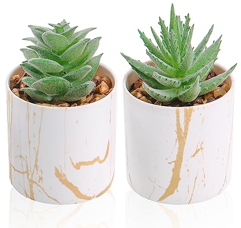 Der Rose 2 Pack Mini Fake Succulents Gold Accent Pots for Office Desk Decor