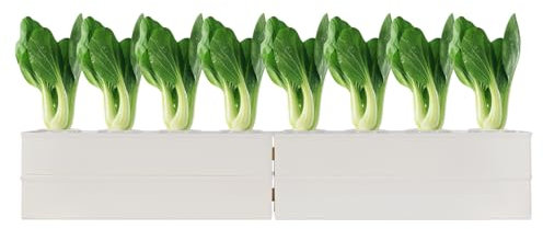 biusgiyeny Hydroponic Site Grow Kit Hydroponics Growing System Hydroponic Anzucht-System Hydroponisches System Erdlose Pflanzenanbau-Systeme Hydroponik Indoor Pflanzen-Aufzucht