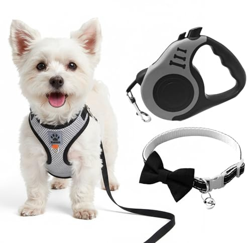 Arnés para Gatos Antifuga con Correa 5M, Arnés Ajustable para Gato con Material Reflectante de Malla Suave y Transpirable para Pasear, Entrenar, Gatos Pequeños y Medianos, Perros, Chihuahua, M