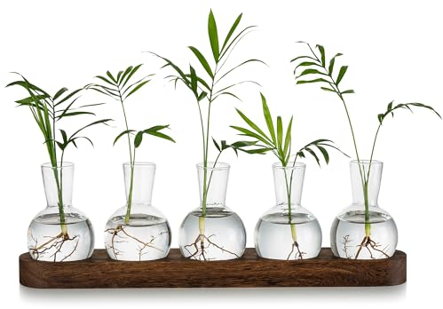 Glasseam Station De Propagation De Plantes en Terrarium, Vase à Bulbes en Verre avec Plateau en Bois, Vases à Bourgeons Modernes pour Le Salon Et Le Bureau, Vase à Fleurs De Bureau