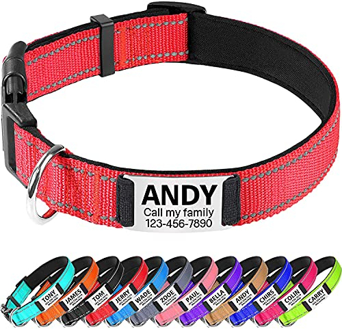 TagME Personalised Dog Collar Reflective Padded Collar for Small Medium Dogs with Custom Engraved Slide On Name Plate,Red S
