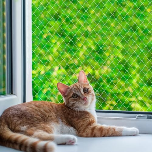 QILUCKY Red de protección de gatos de nailon para balcón, transparente, se puede cortar y resistente a las mordeduras, redes de balcón para gatos, para asegurar terrazas, ventanas y puertas (3 x 5 m)