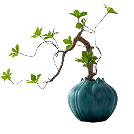 DFHS46JK Bonsaï Artificiel Bonsaï Artificiel Zen bonsaï Plante intérieure Simulation Plante Florale Plante en Pot Plantes artificielles en Pot Bureau Verdure décor Plantes artificielles