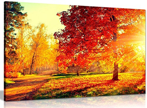 Autumn Scene Trees And Leaves In Sun Light Canvas Wall Art Picture Print (36x24in)