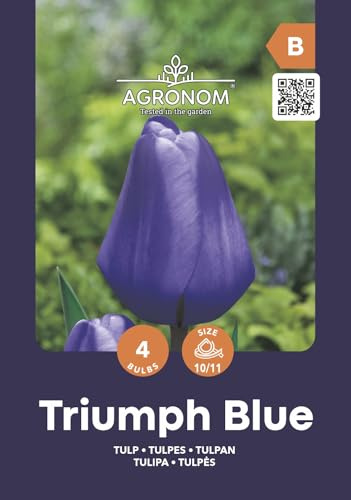 AGRONOM | TULIPANI - TRIUMPH BLUE | Bulbi Tulipani | Bulbi fiori perenni | Fiori Blu | Sono piantati in giardini fioriti, in prati fioriti | I meravigliosi fiori | Confezione da 4 Bulbi fiori