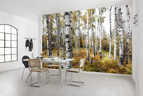 Komar SHX9-015 - Carta da parati in tessuto non tessuto, colorata, XXL, decorazione, natura, paesaggio, camera da letto, soggiorno, ufficio, corridoio, dimensioni 450 x 280 cm (L x A)