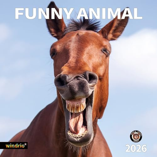 2026 Wall Calendar,Funny Calendar 2026, November 2025 - December 2026, Wall Calendar Funny Animal Memes, 12 x 24 Opened, Full Page 12 Months Thick Paper for Gift Calendar Organizing Planning