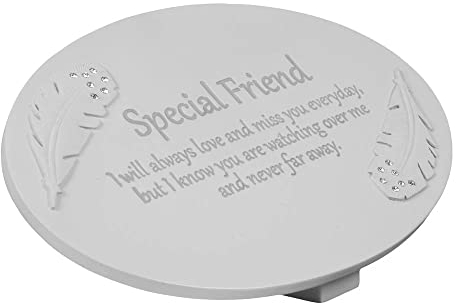 Juliana Plaque commémorative « Special Friend » avec plumes d'ange moulées - Décoration funéraire