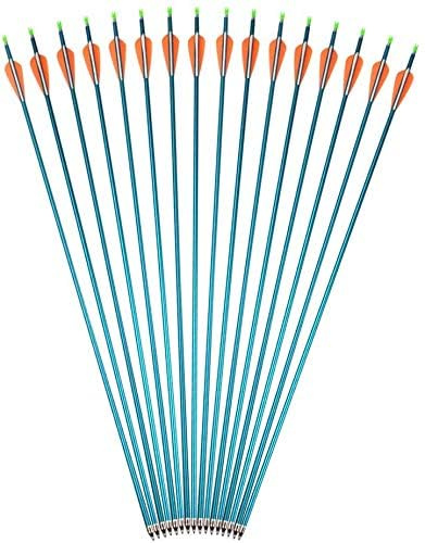 AMEYXGS Flechas de Aluminio de 31 Tiro con Arco Flechas de Caza Columna Vertebral 500 Flechas de Entrenamiento de Destino con Punta de Flecha Atornillada para Arco Compuesto Recurvo (Azul, 12pcs)