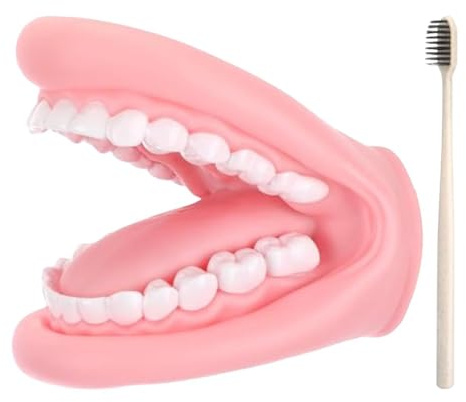 Títere Lengua - Modelo Dedo | Terapia Habla Herramienta | 15x12x8.5cm PVC Dientes Cepillo Piezas Movibles Educativo Niños Niñas Higiene