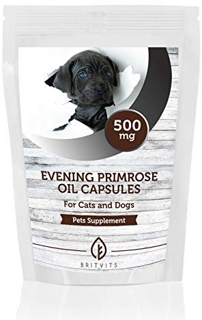 Olio di enotera 500 mg per gatti e cani animali domestici x 120 capsule