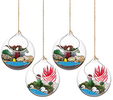 Hängende Glaskugel Vase Glaskugel 4 Pcs Große Öffnung Sukkulenten Aufhängen Terrarium Glas Flower Air Pflanzgefäß Container 4.72 Inches für Home Party Hochzeitsgarten DIY Desig