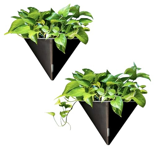 LaLaGreen Lot de 2 Pots de Fleurs muraux pour Plantes d'intérieur - 30,5 cm - Grand Vase à Fleurs à arrosage Automatique - avec Crochet en métal - Moderne et élégant - Fixation Murale