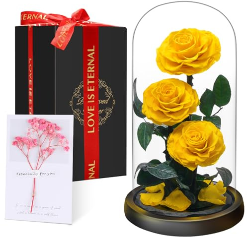 Touloube Preserved Rose Gifts - Preserved Forever Rose in Glass Dome - Beauty and the Beast Romantic Gifts for Wife Girlfriend - Eternal Rose Flowers - Mum Birthday Gifts for Women