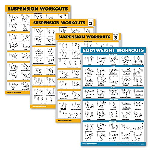 Palace Learning Paquete de 4 pósteres de entrenamiento de suspensión, volumen 1, 2 y 3 + tabla de ejercicios de peso corporal, juego de 4 pósteres (laminados, 18 x 24 pulgadas)