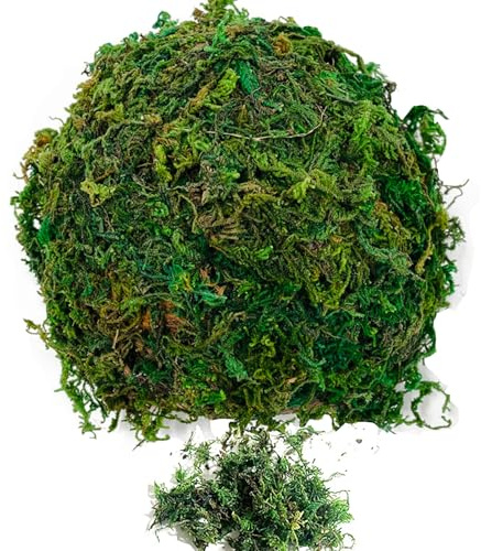 Muschio Finto,200g Muschio Verde Artificiale Piatto Muschio per Artigianato Erba da Prato da Giardino Realistica per Decorazione Patio Giardino Casa Centrotavola per Piante in Vaso Decorazione