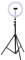 Grundig Ring Light Professional Con Treppiede Regolabile 195 cm - Luce LED Cerchio Per Video - Luce Selfie Con Supporto Telefono - Luce Foto TikTok - Luce Anello Per Selfie E Trucco Con 3 Impostazioni