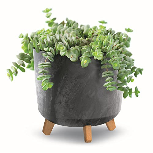 botle Pot de fleurs avec pieds - Diamètre : 30 cm - Anthracite - En plastique - Avec insert - Aspect béton - Pot de fleurs - Arbre à argent - Cactus - Arbre en caoutchouc