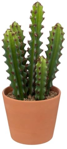 Atmosphera - Cactus Artificiel Ali - H25 cm