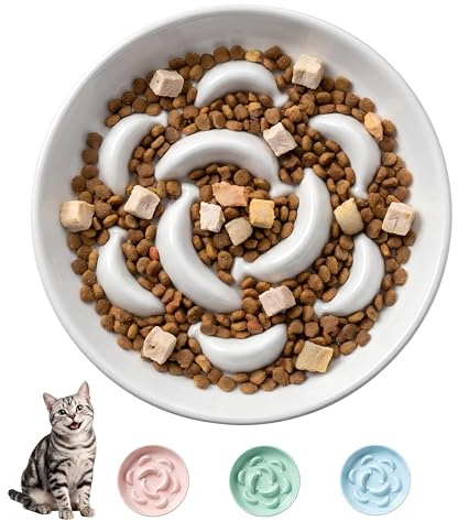 Ceramic Cat Slow Feeder Bowl - 6.3'' Wide Opening Whisker Friendly Cat Plate for Dry and Wet Food - Cute Maze Feeder Dish Helps Reduce Vomiting - Microwave and Dishwasher Safe - White