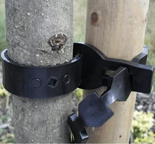 FIXINGS DIRECT Ultimate Super Soft Heavy Duty Plant Tie/Tree Tie - Multiple Sizes - (Adjustable Fitting) Weather Resistant & UV Stabilised (30cm (12”) 10 Pack)