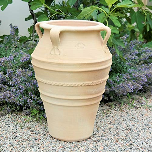 Palatina Werkstatt Exklusive Terracotta Amphore Datura 50cm - 100% Handgefertigtes Unikat - Unverwechselbare Schönheit für Ihren Garten & Innenbereich