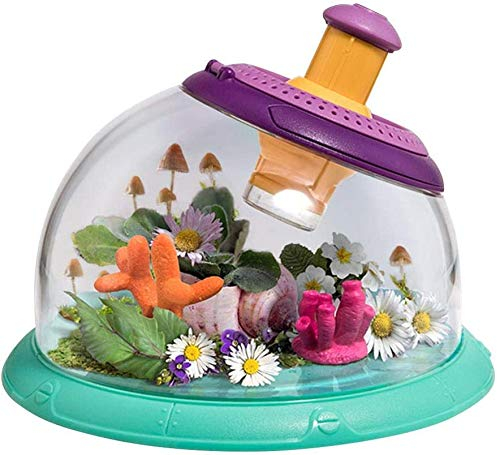 Science Can Draussen Forscherset Spielzeug, Insekten Beobachtungsbox, Insektenbetrachter Lupe, Insektenlupe Geschenk für Kinder ab 3-12 Jungen und Mädchen Outdoor Spielzeug Insekten Box
