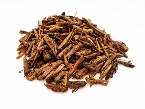 HERONS - Dried Grasshoppers - 5 cm - For Turtles, Birds, Reptiles, Mammals & Large Carnivorous Fish - 58% protein content - Ballast Substances & Chitin - Regulates Digestion - 50 Grams