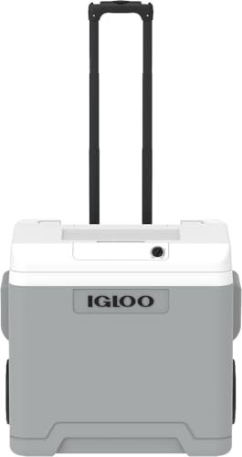 IGLOO IE42 AC/DC frigorifero elettrico con maniglia telescopica e ruote per auto e presa di corrente, mini-frigorifero 42 L, 12V e 230V, grigio