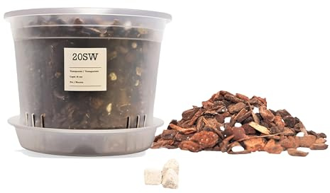 20SW Kit para Trasplantar Orquídeas – Maceta Semitransparente 16 cm con Fondo Elevado y Drenaje – Plato Incluido – 1L Sustrato Premium para Orquídeas – Abono Orgánico de Liberación Lenta