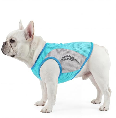 Chaleco Refrescante Perros, Ropa Refrescante Perros para Entrenamiento de Caza Y Camping, Alivio Instantáneo del Calor y Prevención del Sobrecalentamiento(Verde, 2XL)