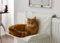 Vinsani® Soft Luxurious Pet Radiator Bed for Cat Kitten Puppy Dogs with Soft Machine Washable Fleece Lined Cover Warm Cosy Hammock Style Radiator Bed