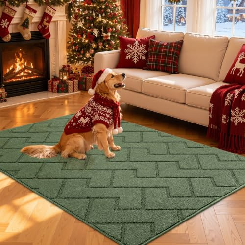 Biscpro Door Mat, 119x180cm DoorMat Indoor Washable, Doormat Indoor Dirt Trapper Non-slip,Absorbent Inside Entrance Rug Mat for Entryway,Patio,Garden,Laundry Room,Pets - Green