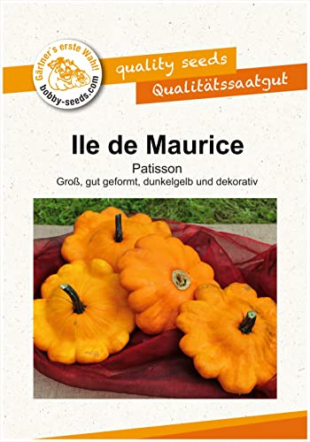 Kürbissamen Patisson Ile de Maurice Portion von Bobby-Seeds