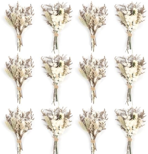 Larber 12PCS Mini Dried Flower Bouquet Dried Wildflowers Dried Flowers Mini Dried Flower with Stem for DIY Photo Props Vase Wedding Decoration (White)