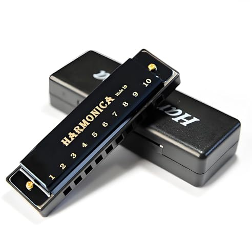 10 Hole Black Diatonic Metal Mini Harmonica - Pre-Tuned C Key Mouth Organ for Adults Kids Beginners, Portable with Storage Bag, Suitable for Blues Folk Pop, Ideal Holiday Christmas Thanksgiving Gift